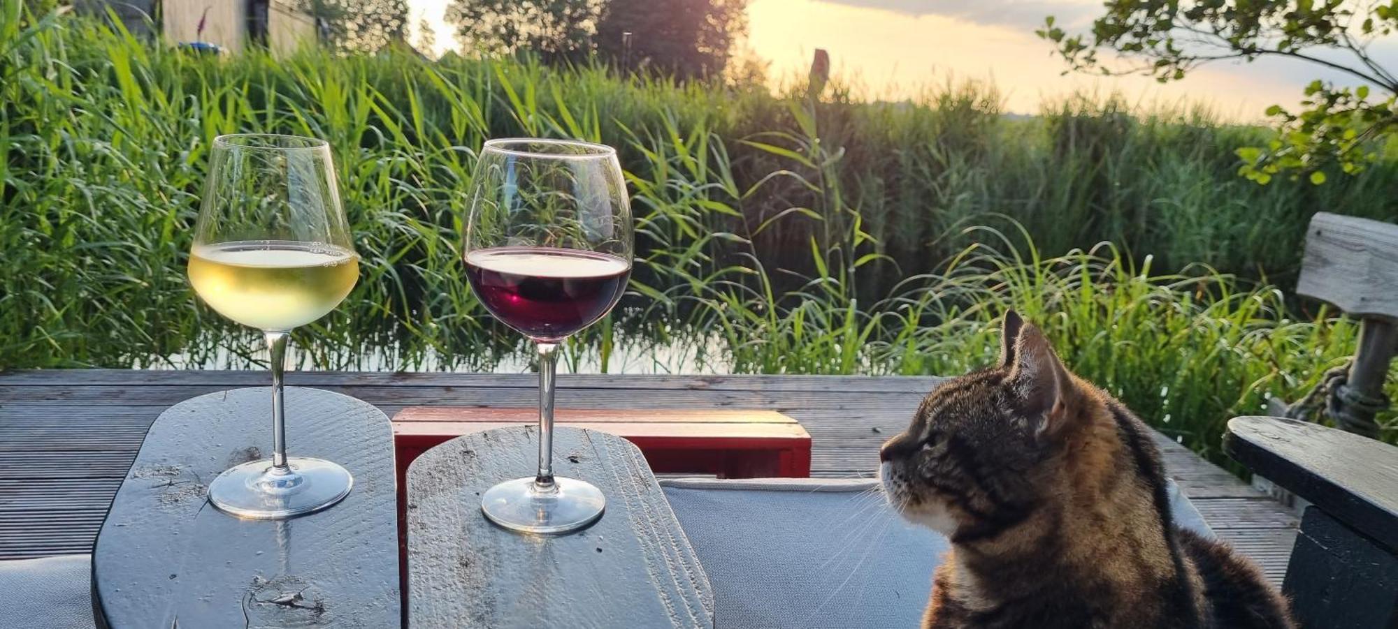 Slapen Bij Bonanza Villa Bantega Dış mekan fotoğraf